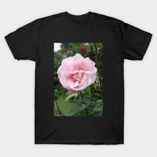 Rose photo T-Shirt